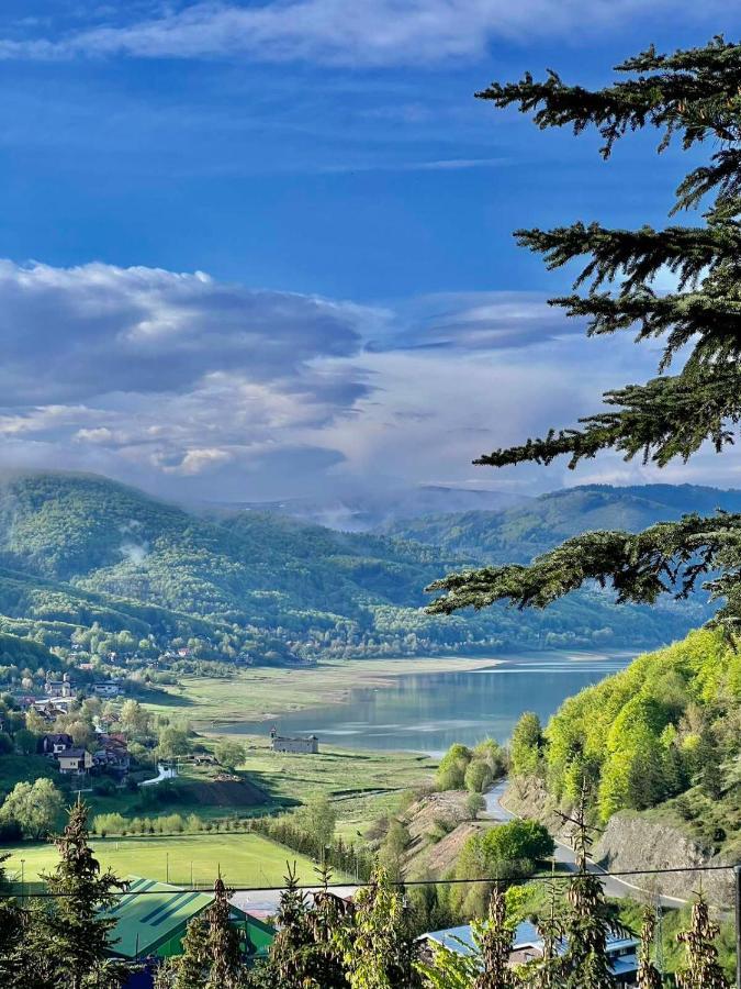 Mavrovo LakeView Hotel, Spa&Apartments Buitenkant foto